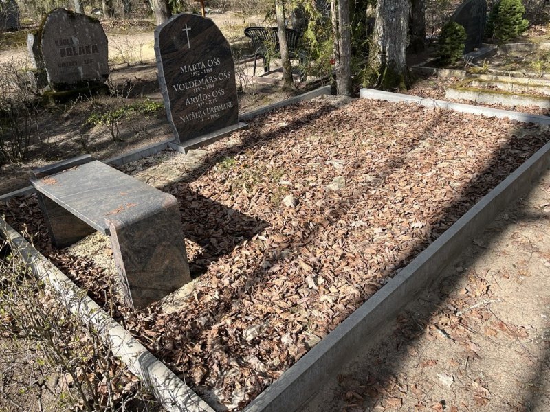 Место захоронения без уборки