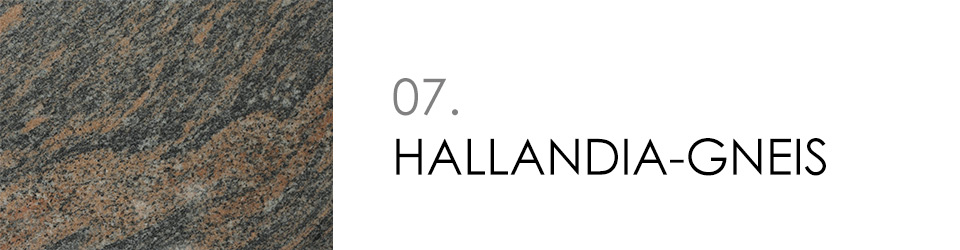 7 - HALLANDIA-GNEIS
